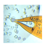 Simplify looping crystals from drops and obtain better diffraction data.